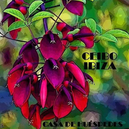 Auberge de jeunesse Ceibo Ibiza - Guest House